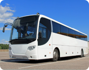 bottom bus img