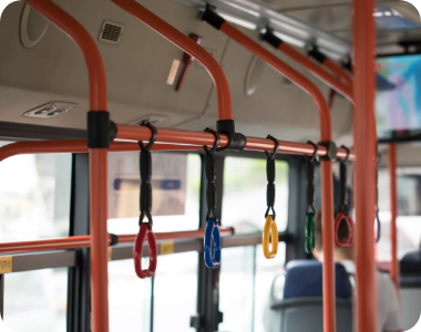 bottom bus img